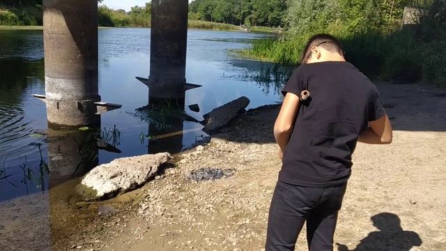 стреляем по лягушкам.... смотреть онлайн