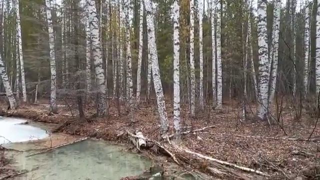 "Все гибнет" Река Ольховка/ www.serovglobus.ru смотреть онлайн