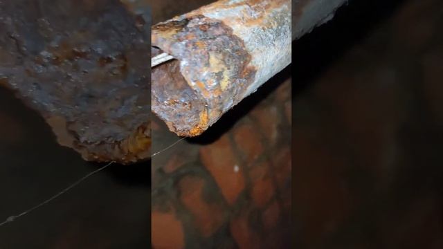 Бриллиантовый блеск