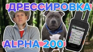 Настройка удобной дрессировки собаки на охотничьем навигаторе Garmin Alpha 200
