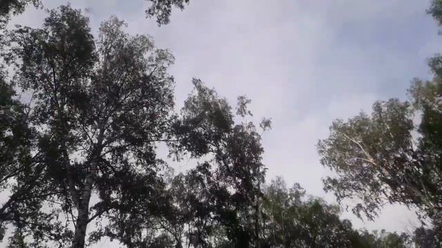 знай всё будет хорошо. просто потерпи😊 смотреть онлайн