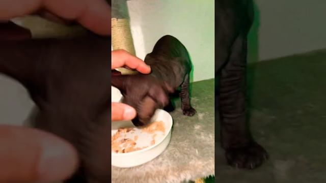 Ну как идёт хорошо идёт смотреть онлайн