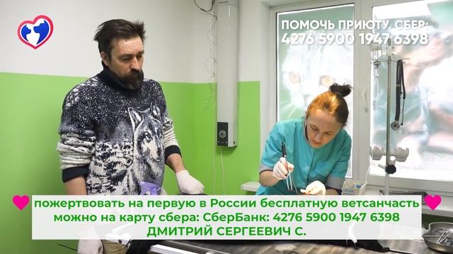 Спасение собаки! Кто с ней так поступил? смотреть онлайн