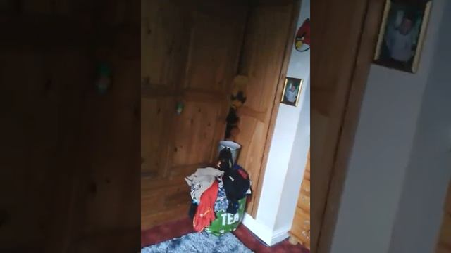 Trick shots bouncy ball смотреть онлайн