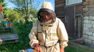 Подсадка плодной матки через однорамочный сетчатый изолятор