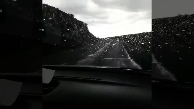 Отдых ВКО смотреть онлайн