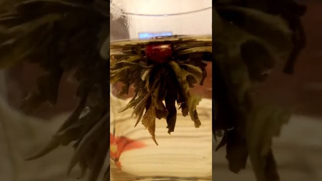 Связанный чай цветок смотреть онлайн