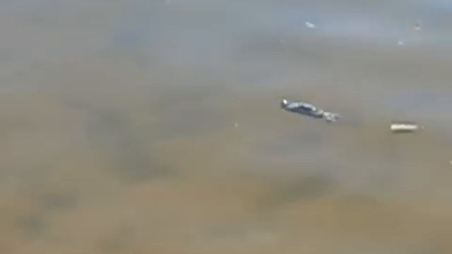 Подводная лодка смотреть онлайн