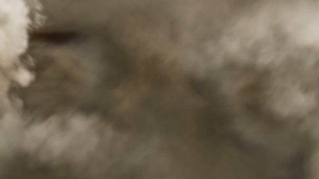 Saiyans (Dragonball Z) vs the Foot Clan Army (TMNT) - Ultimate Mugen Fight 2016 смотреть онлайн