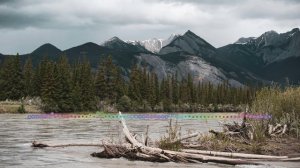 ГАМИД РАМАЗАНОВ - НОВАЯ ДАРГИНСКАЯ 2024