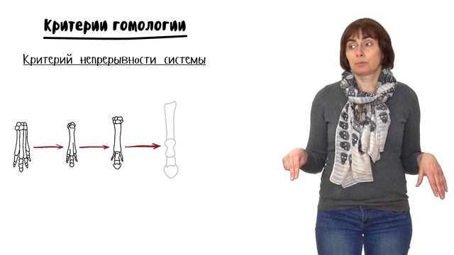 Эволюция - 5. Макроэволюция, часть 2. 10 - 11 класс смотреть онлайн
