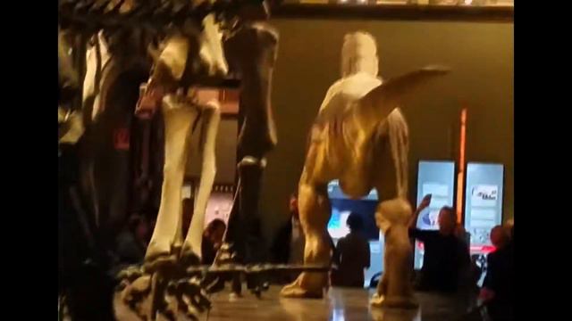 Вена | Увидел динозавра, который внезапно ожил смотреть онлайн