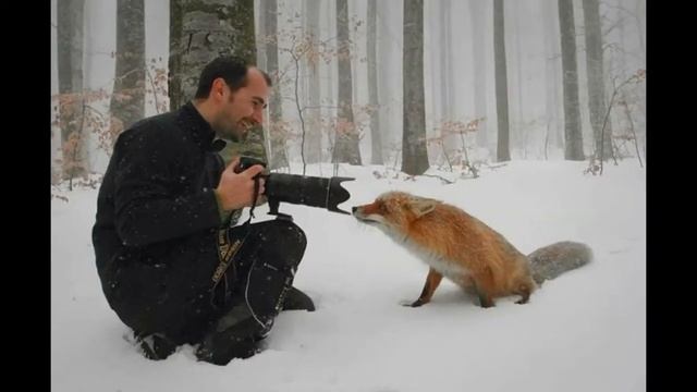 Фотографы животного мира смотреть онлайн