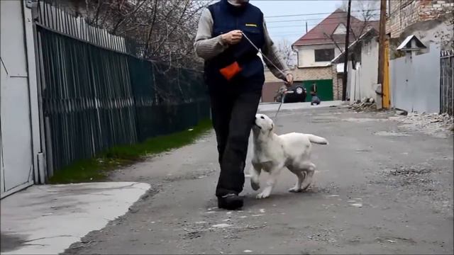 ВАХА, 3 мес 10 дней смотреть онлайн