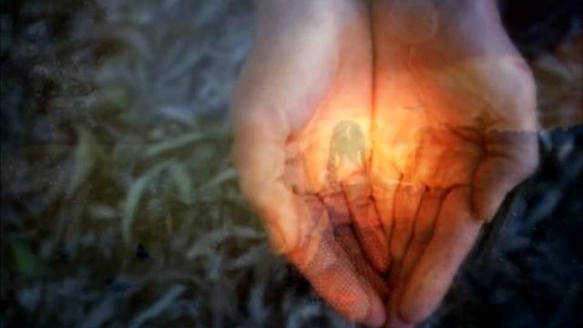 "ЗОЯ" стихи Анастасия Одесса смотреть онлайн