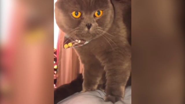 Попробуй не засмеяться смотреть онлайн