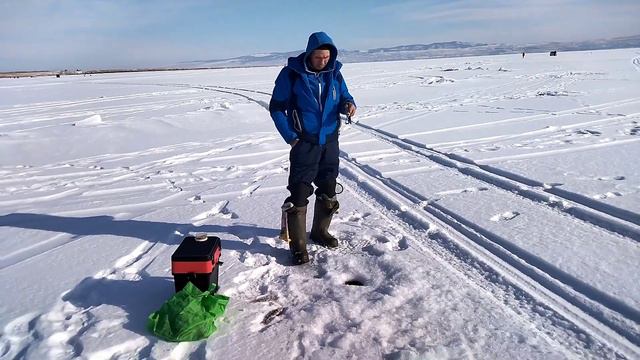 ОТЛИЧНОЕ РЫБНОЕ МЕСТО. Обзор снасти БАЛДА. Ловля ОКУНЯ Зимой. местность МУРТОЙ смотреть онлайн