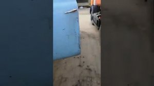 Трамблер ГАЗ 52 ЭЛЕКТРОННОЕ, Бесконтактное зажигание.Карбюратор 2107