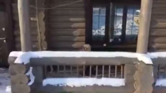 Мороз и Солнце,День чудесный смотреть онлайн