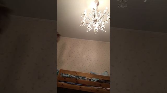 Самый плохой день смотреть онлайн
