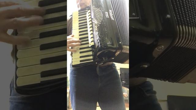 Italo-American Polytone Accordion смотреть онлайн
