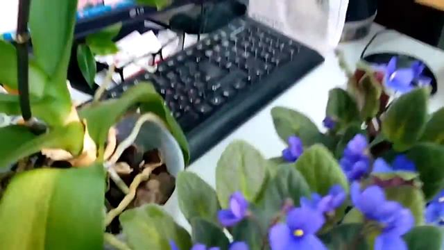 Кто у нас сегодня самый красивый? смотреть онлайн