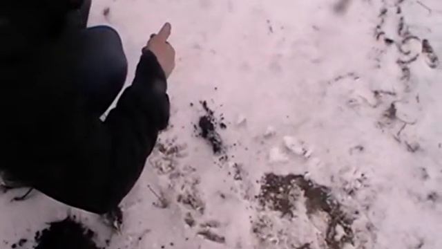 Серебро, империя, советы, Первый коп 2017 смотреть онлайн