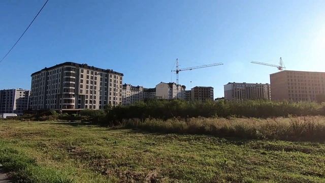 Нальчик, ул. Тлостанова, 19.09.2023г.