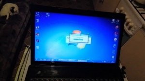 Как подключить принтер к компьютеру без диска