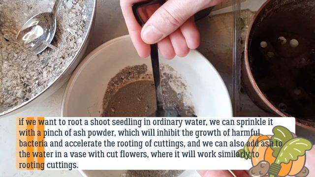 Ash disinfects the soil from fungi and viruses. How to fight vegetable powdery mildew and gray mold смотреть онлайн