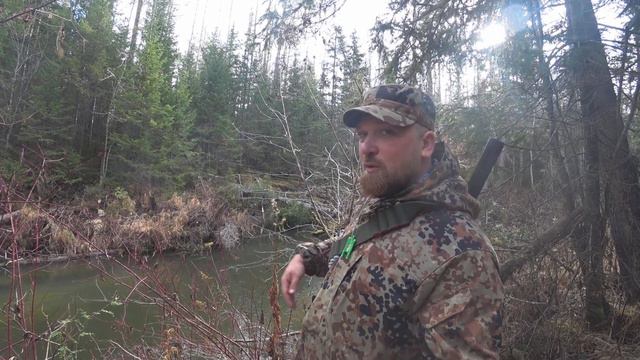 Охота на рябчика. Лайка работает смотреть онлайн