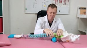 Методика терапии Codus&Sacrus - принцип работы, эфективность и признание в Европе, США