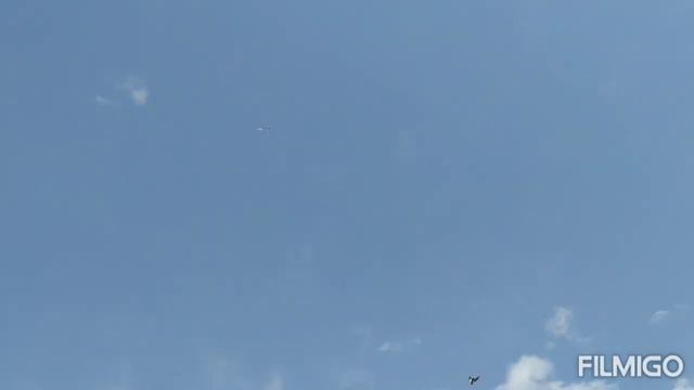 Николаевские Голуби в Сибири. 16.05.2023г. смотреть онлайн