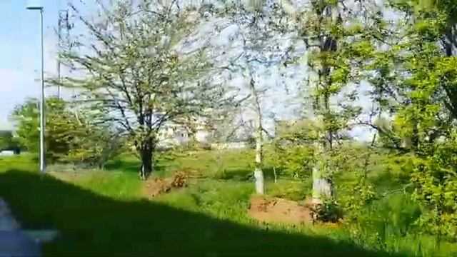 Palmanova Italy |Beautiful View смотреть онлайн