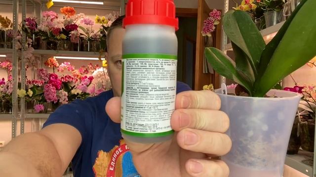 для орхидеи КАПРИЗНОЙ новое двойное средство: стимулятор орхидеи и защита от болезней СИЛИПЛАНТ смотреть онлайн