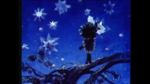 05 Как Ёжик и Медвежонок протирали звёзды