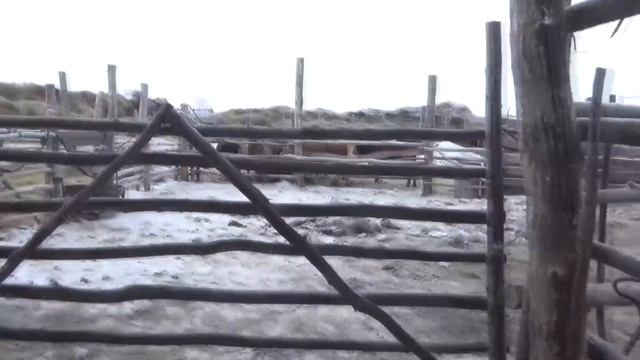 Подарок от Ялты на день рождения. Какие клички быков есть. смотреть онлайн