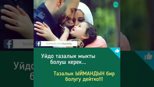 үйдө тазалык мыкты болуш керек смотреть онлайн
