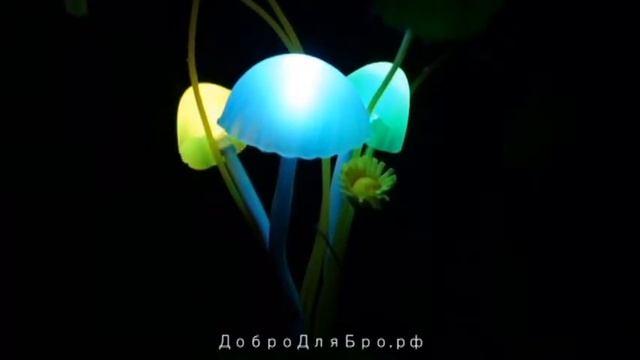 Светильник Аватар на ДоброДляБро.рф смотреть онлайн