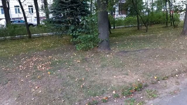 пироговская больница ,прогулка.