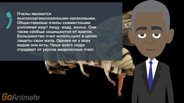 Что делать если укусила пчела смотреть онлайн