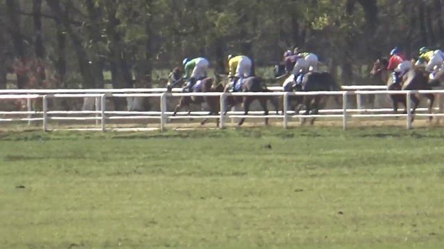 6 11 21 Осенний приз 1600 м, 3 Гр Победительница Италия Фэйp Эклипс Йopк Файp ⧸ Итaлиaнa Hут смотреть онлайн
