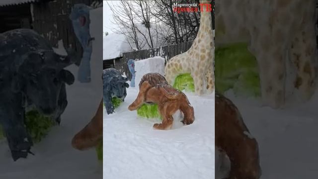 Трезвый водитель