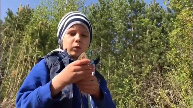 Отличный Улов Рыбалка Брянская область / как ловить поймать рыбу смотреть онлайн