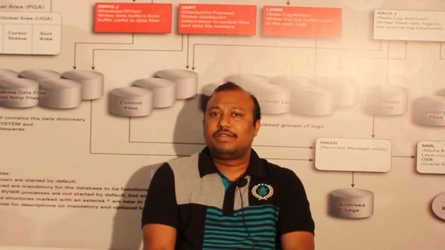 Oracle Core DBA Review by Mukesh - 8+Yrs Testing смотреть онлайн