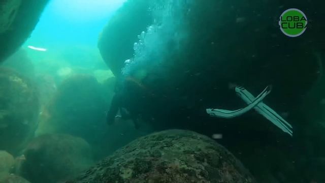 Дайвинг в Ялте | Ласточкино гнездо и обитатели Черного моря смотреть онлайн