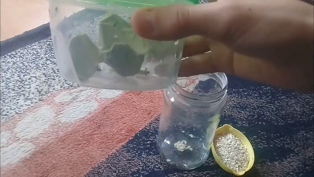 Содержание живого корма (сверчок) смотреть онлайн