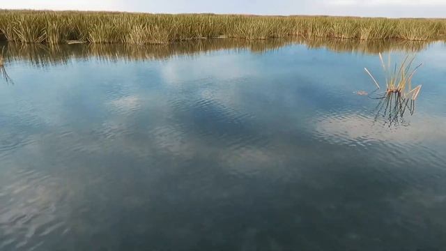 РАСКАТЫ ОБМЕЛЕЛИ. РЫБАЛКА В АСТРАХАНИ. ЖИТНОЕ. 1.10.2022. ЧАСТЬ 2 смотреть онлайн