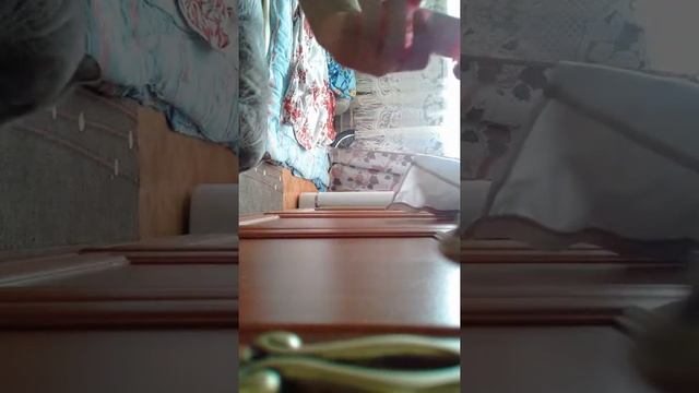 Моя кошка Плюша её так зовут смотреть онлайн