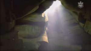 гризли и лемминги. медведь и клад